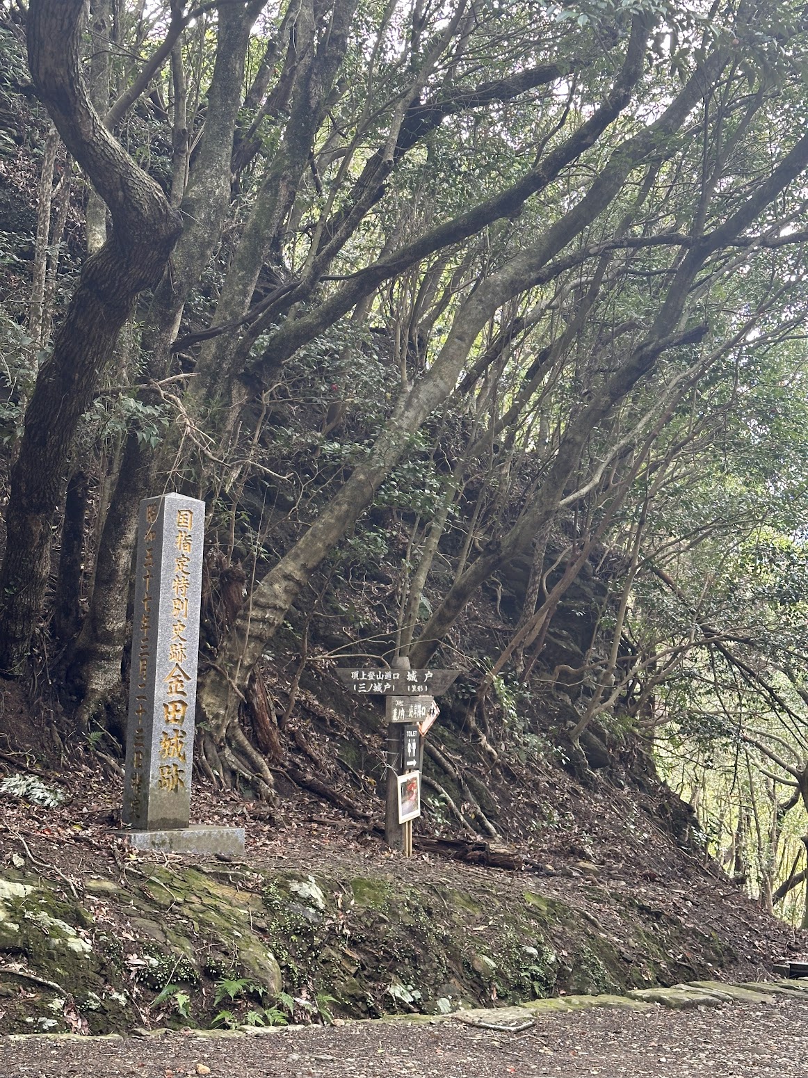 Road to Kaneda Castle covered in branches during the tour